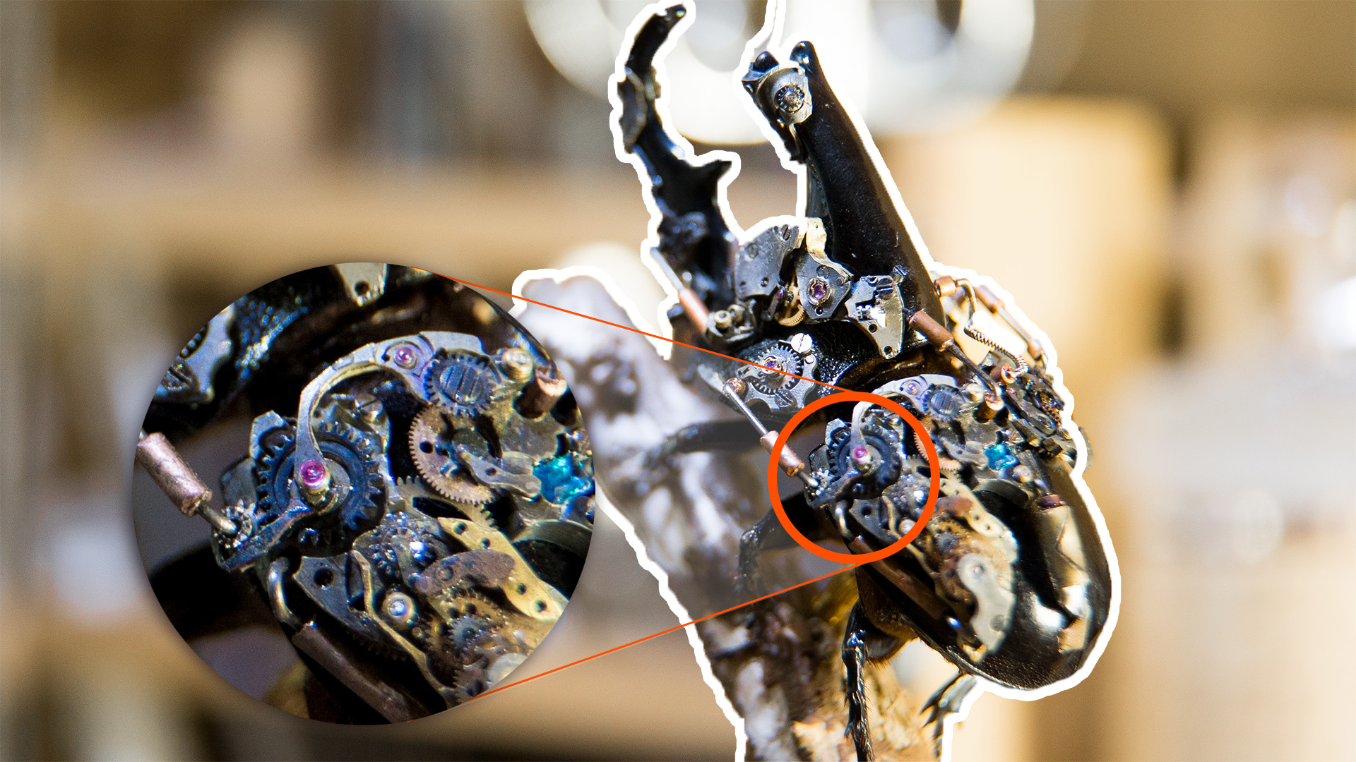 This Artist Transforms Insects into Steampunk | dailyWOW